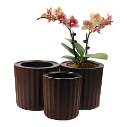 Ceramic Orchid pots
