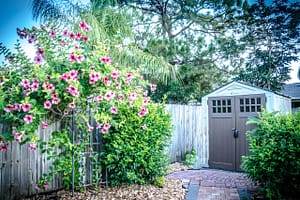 Read more about the article Best Garden Outdoor Storage  Shed